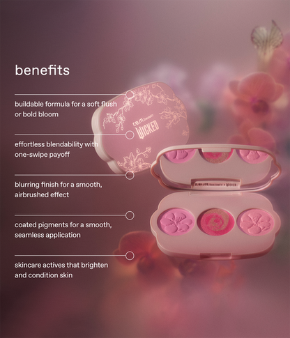 Wicked For Good - Cherry Blossom Blush Palette (Pink)